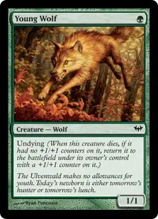 Jungwolf