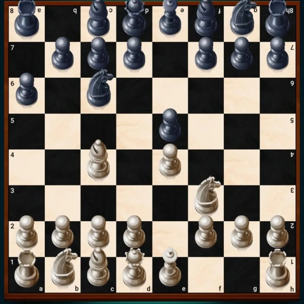 Classical and Positional Openings